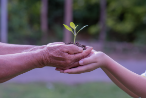 Como a crescente conscientização sobre a sustentabilidade está influenciando as práticas de supply chain?